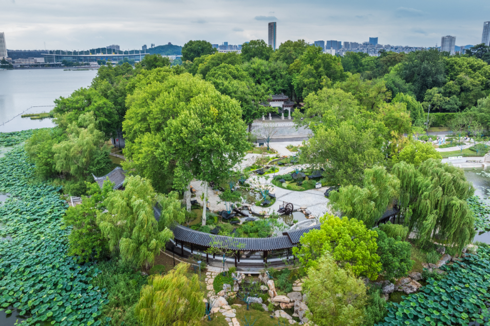 1754039024688.png 1754039024688.png