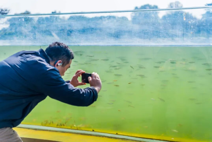 518d4b5c-6291-4572-92a4-ed64f2255d7d.png 518d4b5c-6291-4572-92a4-ed64f2255d7d.png