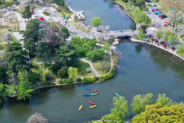 皮划艇项目体验地位于玄武湖公园内湖区域.