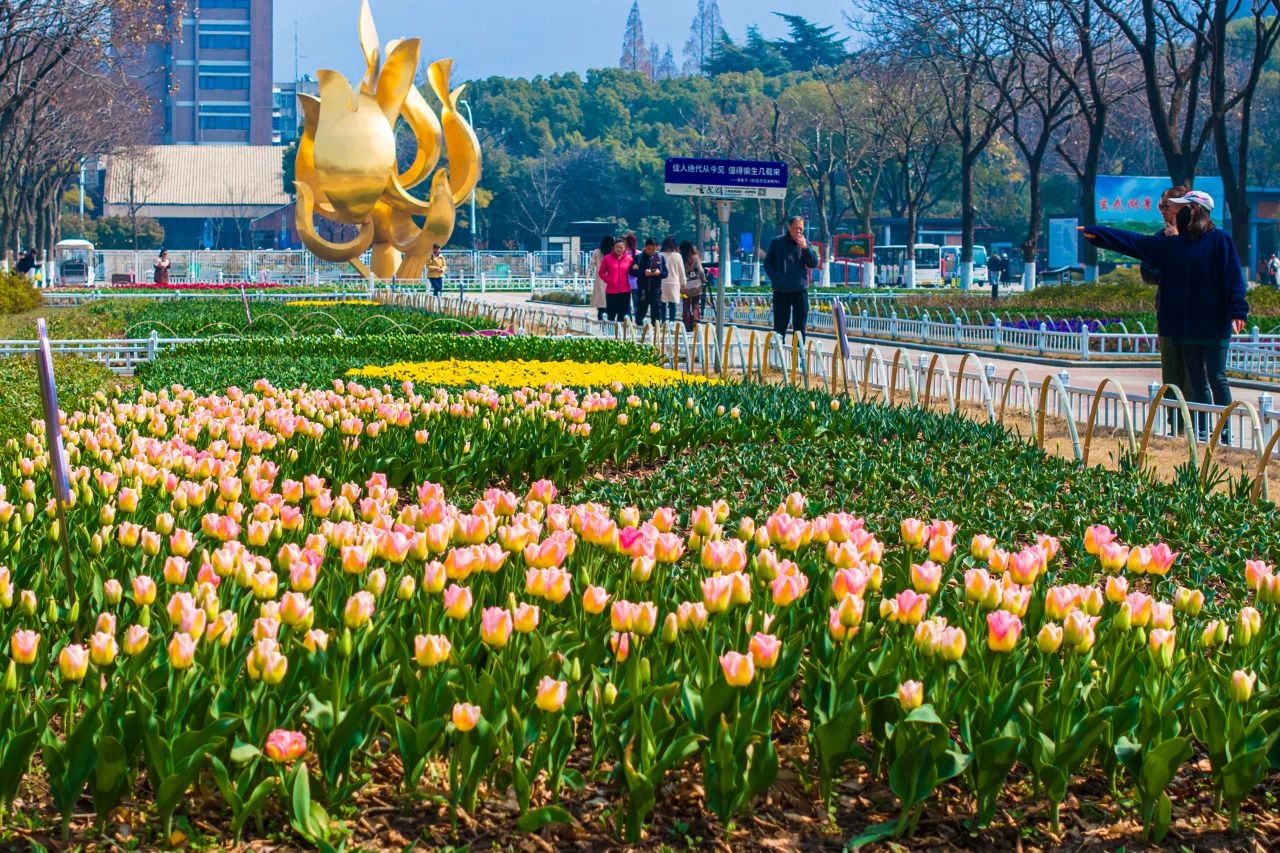 微信图片_20241213150138.jpg