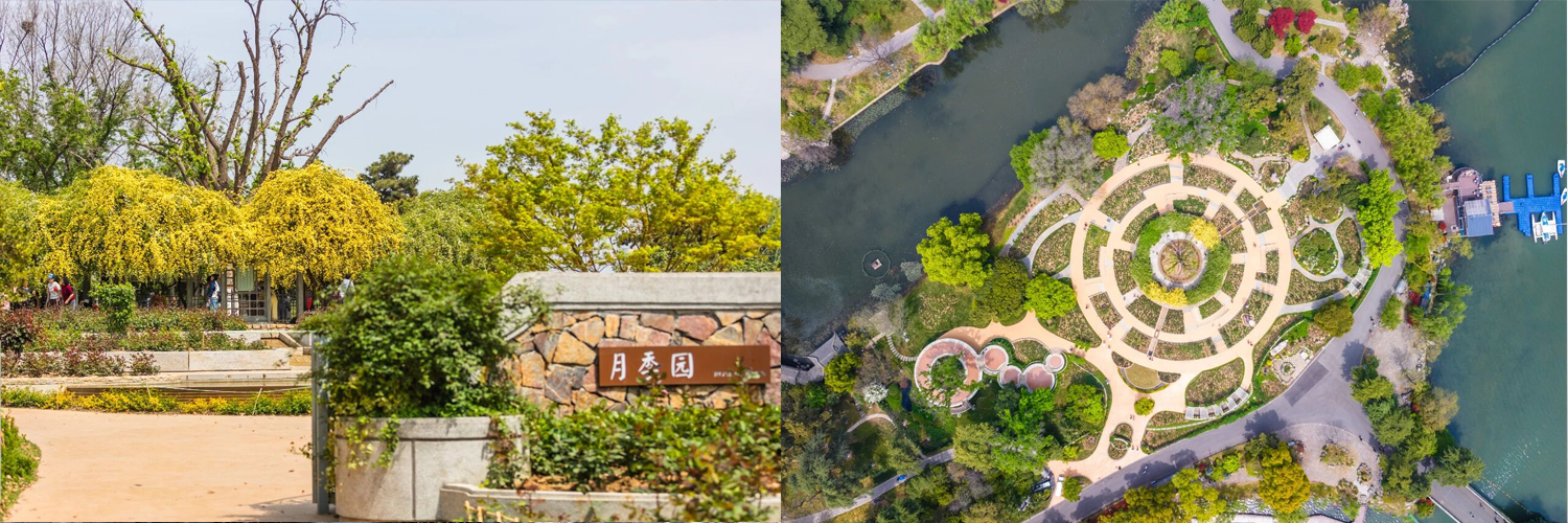 月季园.png